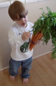 Carrot tops are edible