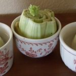 How to regrow celery from the stalk