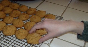 Pumpkin Cookies Recipes Soft and Moist Pumpkin Cookie Recipe