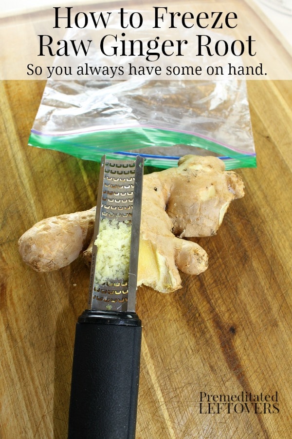 How to Freeze Raw Ginger Root - You can freeze fresh ginger to prevent it from going bad. Frozen ginger keeps in the freezer for up to 6 months. You can grate it while frozen and add the grated ginger directly to recipes.