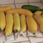 Summer Squash Recipes, Yellow Squash Recipes