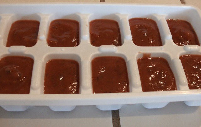 Freezing Spaghetti Sauce in Ice-cube Trays to use in recipes.