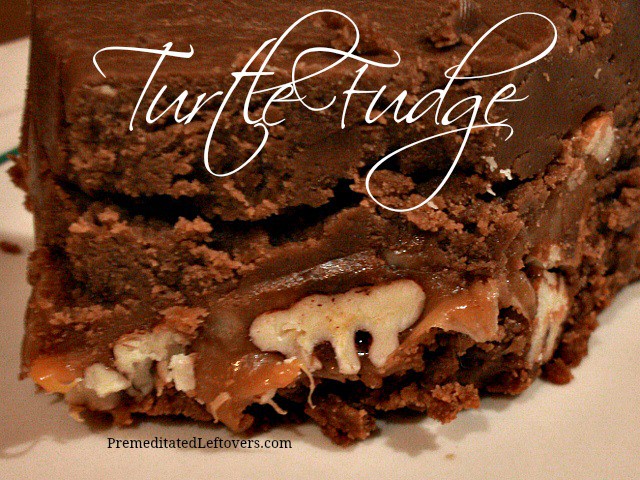 Turtle Fudge Recipe
