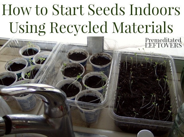 How to Start Seeds Indoors Using Recycled Materials