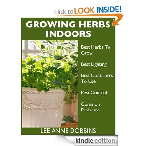 Growing Herbs Indoors