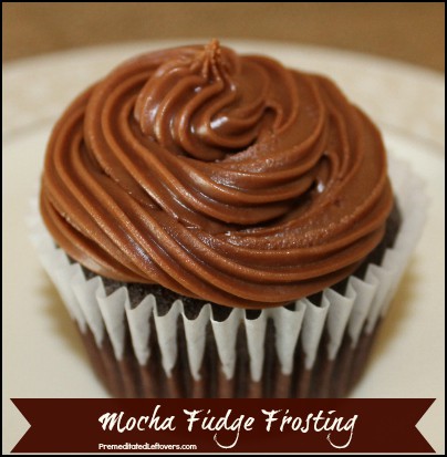 Mocha Fudge Frosting Recipe