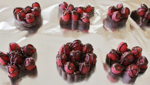 chocolate and fresh raspberry bark recipe how to make a chocolate bark using fresh raspberries