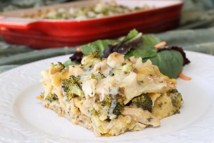 Chicken and Broccoli Alfredo Lasagna Recipe 