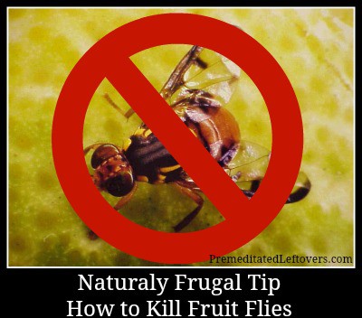 Naturally frugal tip - how to get rid of fruit flies