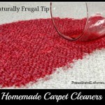 Homemade Carpet Cleaners and Carpet Stain Removers