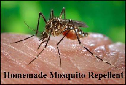 Naturally Frugal Tip: Homemade Mosquito Repellent