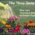 May Money Saving Guide