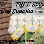 use egg shells to start seeds