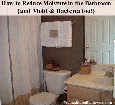 How to Reduce Moisture in the Bathroom -  and reduce mold and bacteria too