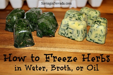 How to Freeze Herbs in Water, Broth, or Oil