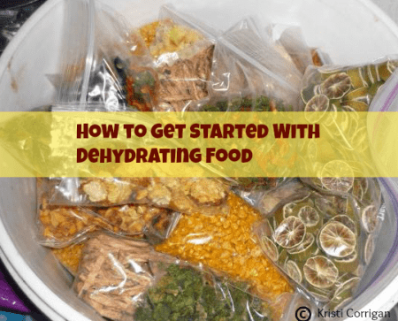 How to get started dehydrating food