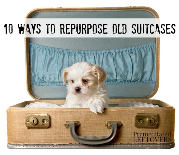 10 Ways to Repurpose Old Suitcases including make a pet bed for your dog or cat