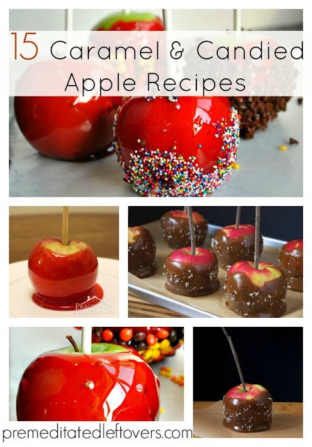 15+ Caramel and Candied Apple Recipes. Tips for creating a caramel apple dessert bar and a list of candied and caramel apple recipes for you to try.