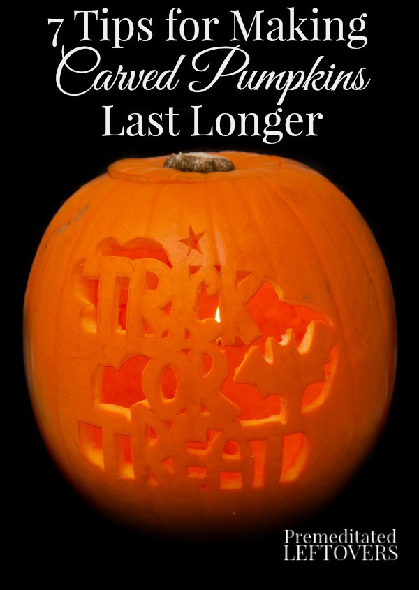 7 Tips for Making Carved Pumpkins Last Longer - Are you carving a pumpkin for Halloween? Here are tips to make your Jack o' Lantern last longer.