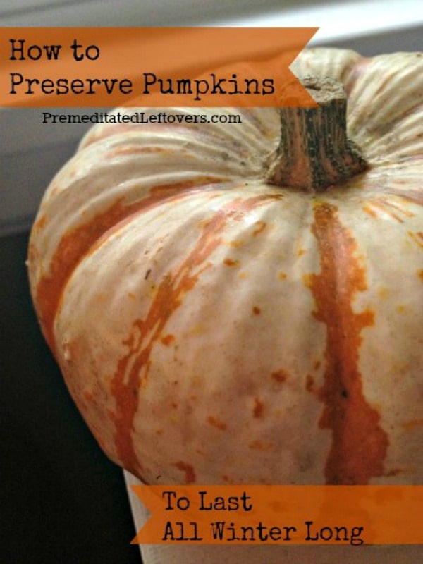 How to Preserve Pumpkins During the Winter: Here is how to preserve your pumpkins so they will last all winter. This allows you to use them at a later date.