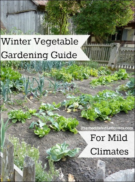 Winter Vegetable Gardening Guide for Mild Climates: A list of cold-hardy vegetables you can grow in your garden in the winter and tips for winter gardening.