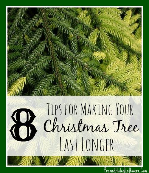 8 Ways to Make Your Christmas Tree Last Longer - Tips for choosing a Christmas tree and prevent it from drying out.