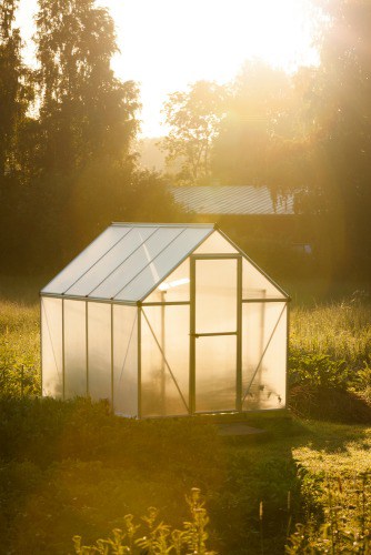 DIY Bamboo Greenhouse - how to build a frugal greenhouse out of bamboo and plastic sheeting