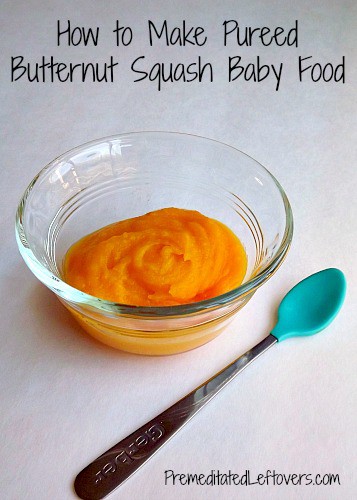 How to Make Pureed Butternut Squash Baby Food - Recipe and Tips