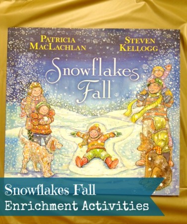 Snowflakes Fall - enrichment activities to accompany the book
