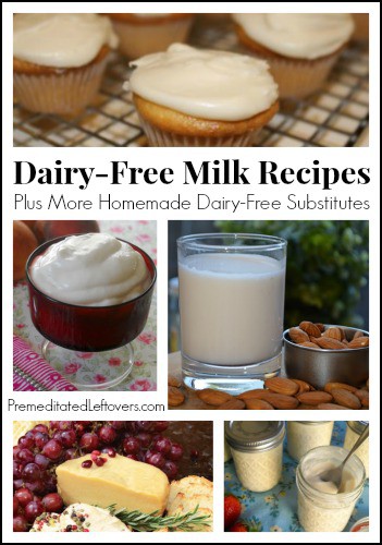 Dairy-Free Milk Recipes + More Homemade Dairy-Free Substitutes