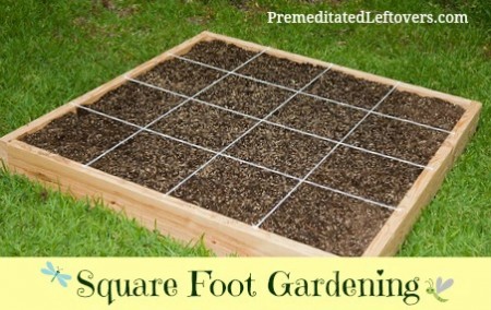 How to Start Square Foot Gardening