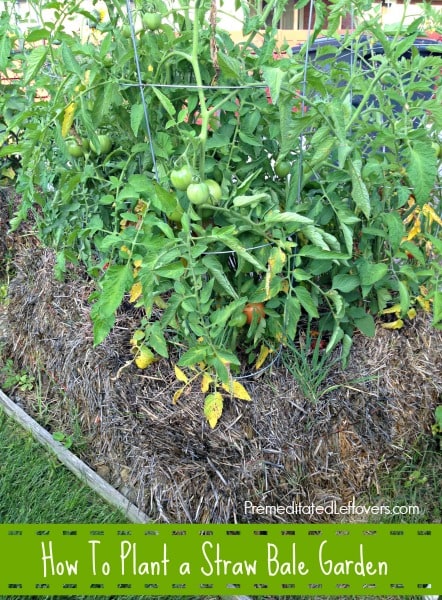 How to Plant a Straw Bale Garden