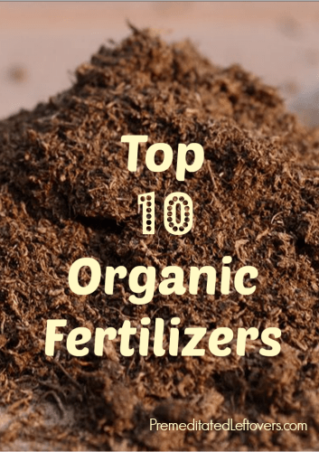 Top 10 Organic Fertilizers