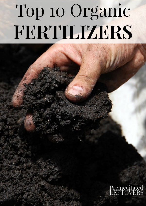  Choose from these top 10 Organic Fertilizers to feed your plants.These are the organic fertilizers to use to create a healthy organic garden and yard.