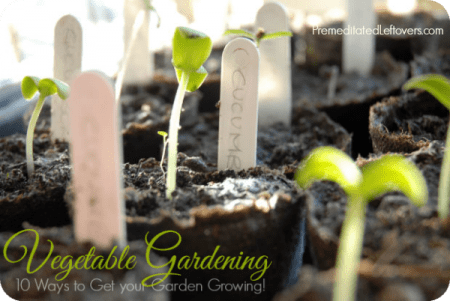 Vegetable Gardening - 10 Ways to get your garden growing