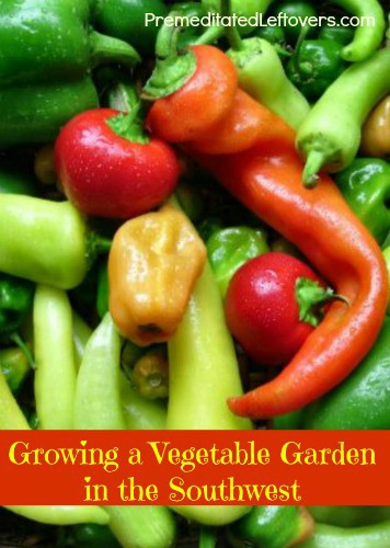 Growing a Vegetable Garden in the Southwest
