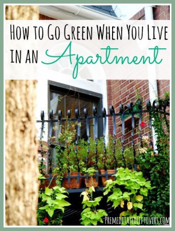 How To Go Green When You Live in an Apartment