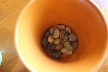 put pebbles in the bottom of herb pots before planting herbs