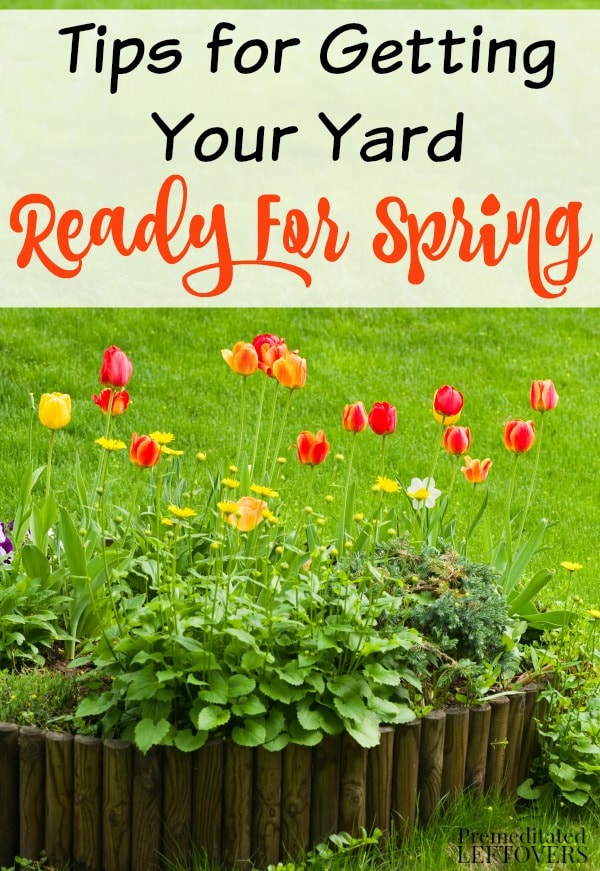 How to Get Your Yard Ready for Spring - 10 steps you can take to get your yard ready for spring plantings and landscape projects.