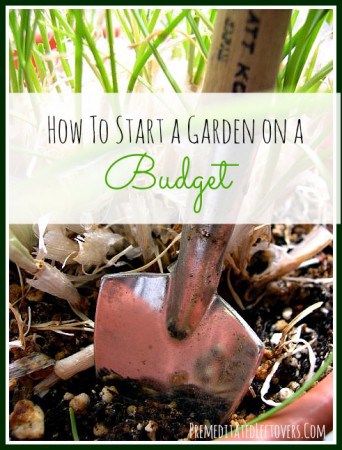 how to start a garden on a budget