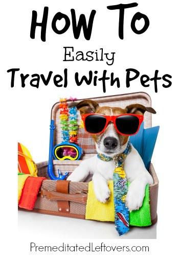 How To Easily Travel With Pets