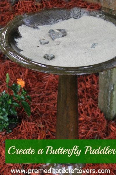 How to Create a Butterfly Puddler - Make  a butterfly puddler with this tutorial to help attract butterflies to your yard.