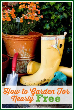 How to Garden for Nearly Free