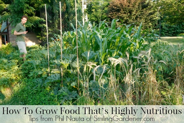 How To Grow Food That’s Highly Nutritious (And Has Fewer Pests)