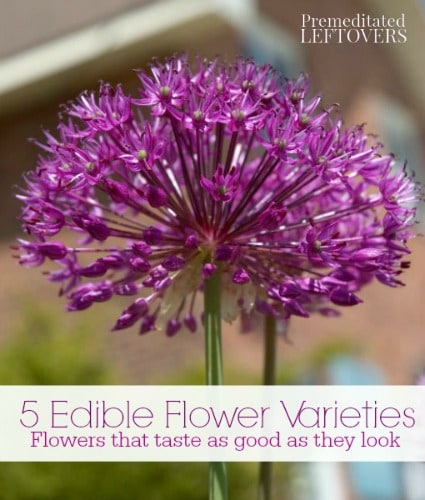 5 Edible Flowers