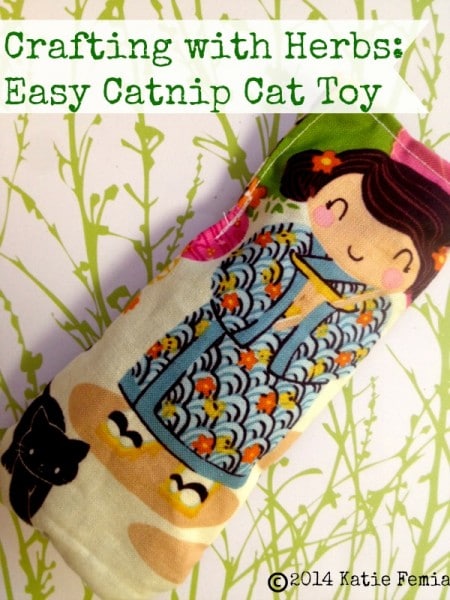 Make this Easy DIY Catnip Cat Toy for your cat.