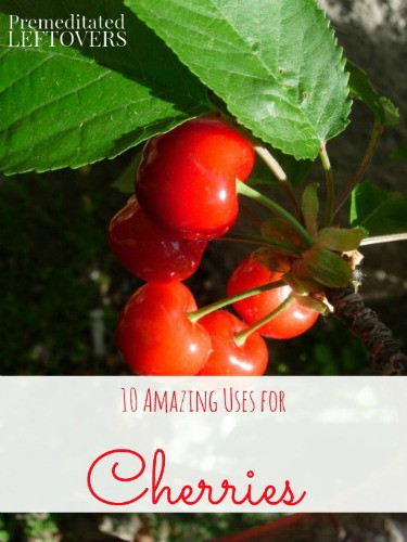 10 Amazing Uses for Cherries - Tips to use up cherries including beauty tips, natural health remedies, and creative uses in recipes.