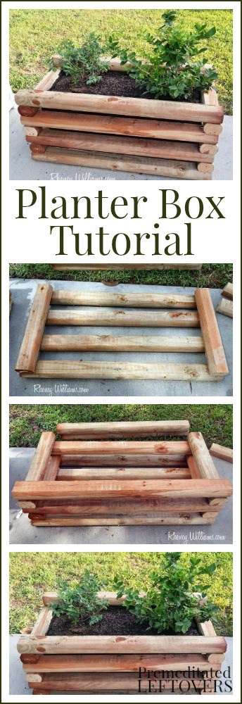 DIY Planter Box Tutorial - perfect for growing berries and other fruit plants on your patio