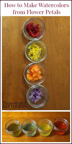 How make watercolor paints from flower petals - Fun activity to do with kids