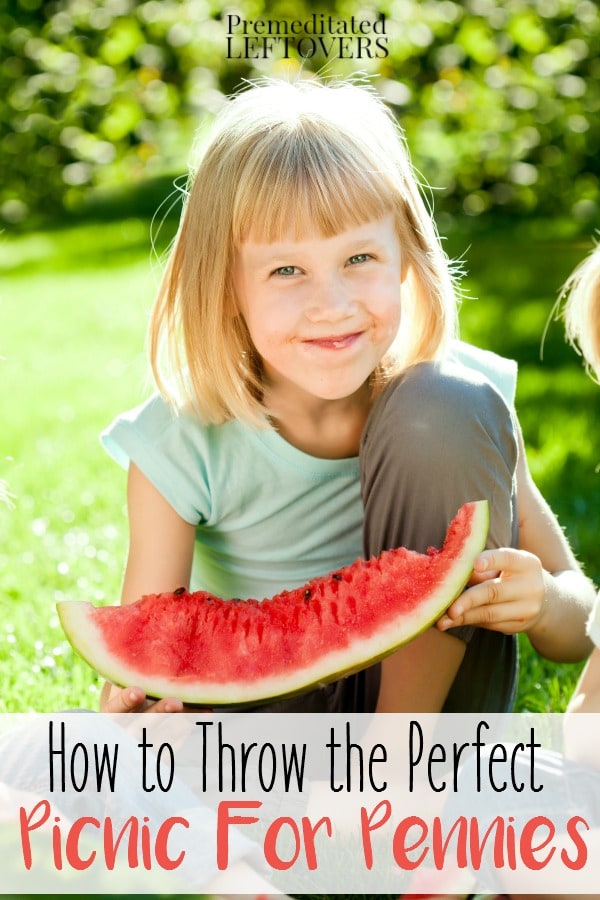 10 Tips for Throwing the Perfect Picnic for Pennies - Picnics are a fun way to spend time with family. Here are frugal tips for creating a perfect picnic.